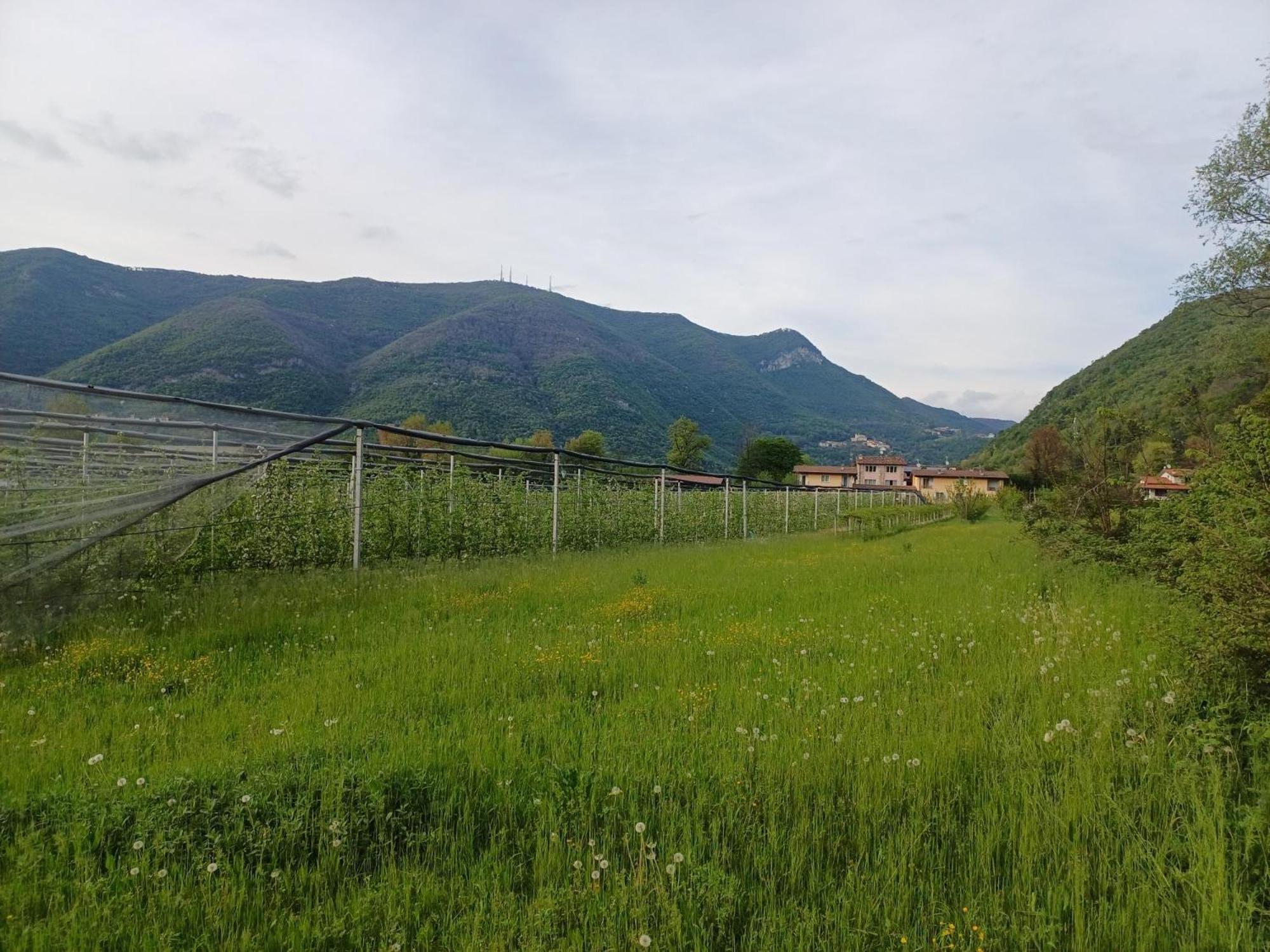 Cascina Legnago Bilocale A 6 Chilometri Da Salo' Apartment Villanuova sul clisi Exterior photo